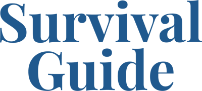 dc-sg-sth-logo dc-sg-sth-logo